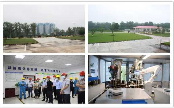 6731顶级游戏(官方)最新IOS/安卓版/手机版APP下载