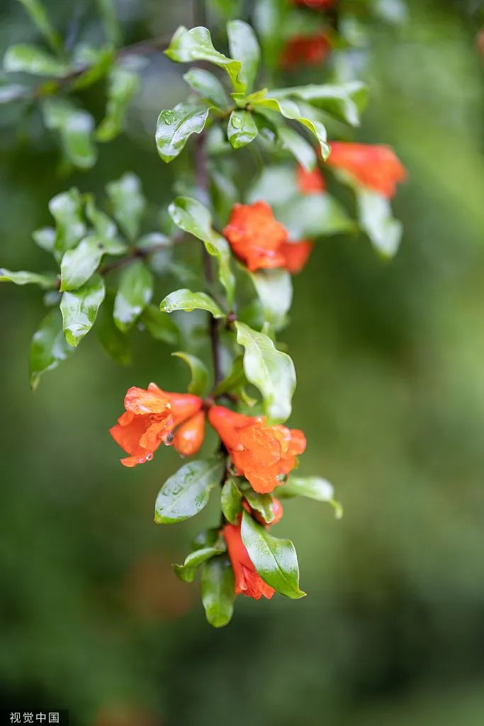 6731顶级游戏(官方)最新IOS/安卓版/手机版APP下载